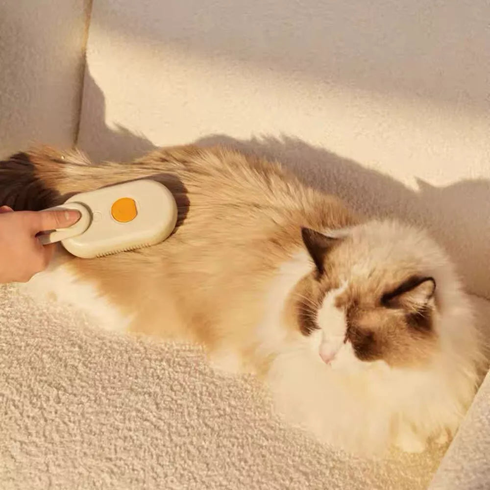Pet Cat Dog Steam Brush Massage Electric USB Charger Water Spray Essence