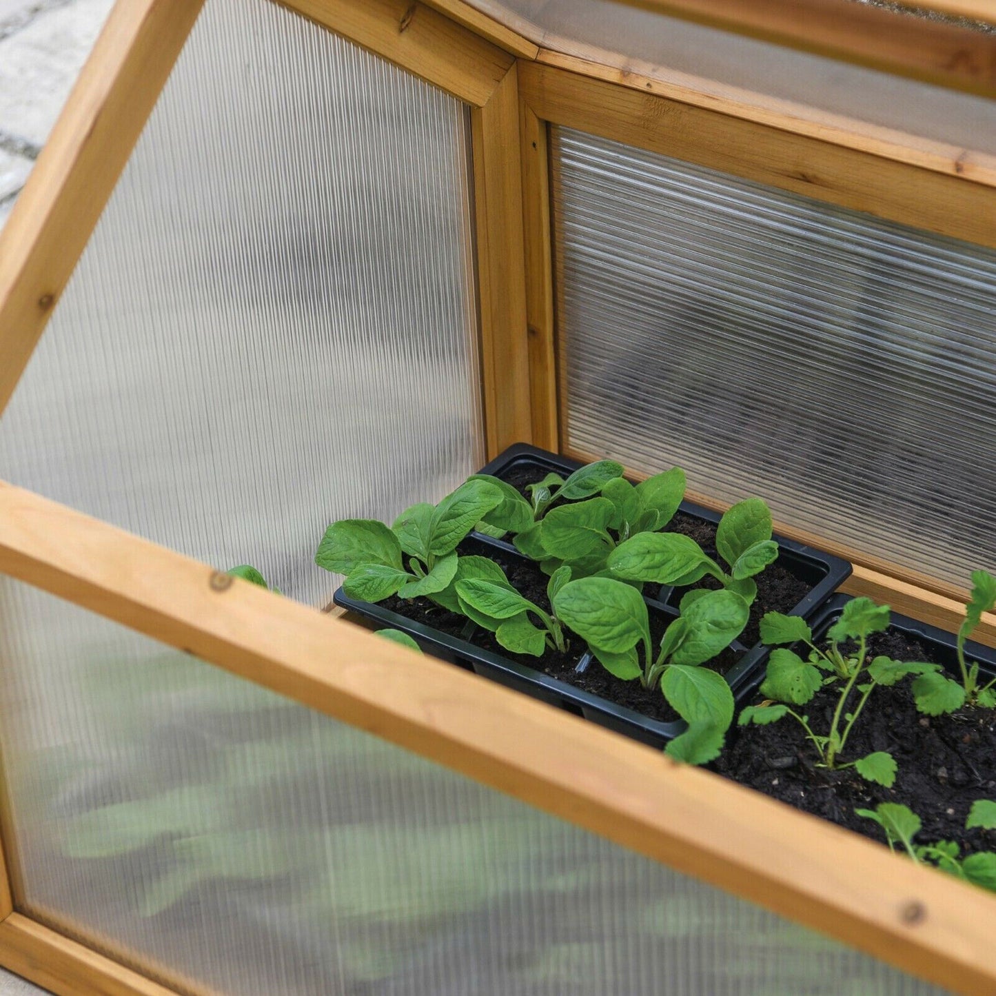 Garden Grow Wooden Cold Frame with Polycarbonate Panels and Hinged Lid
