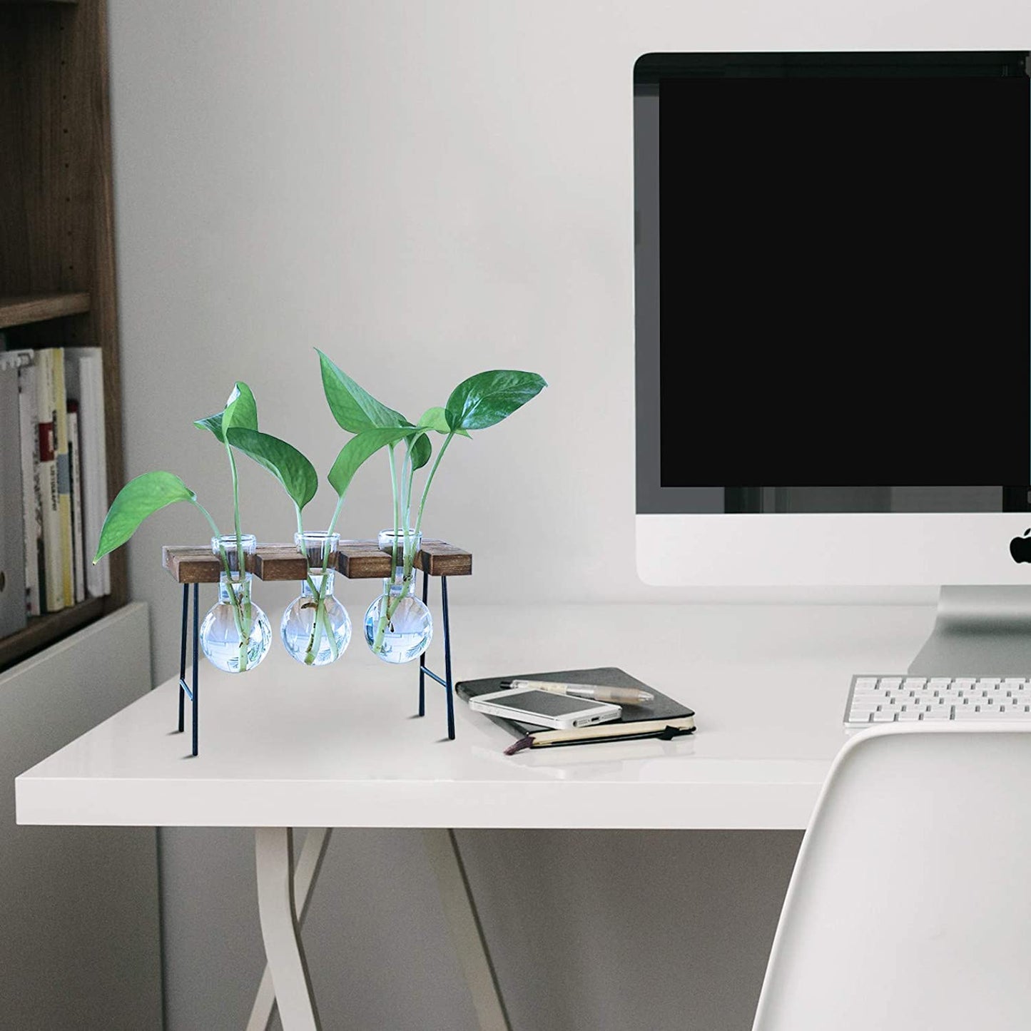 Desktop Plant Terrarium With Wooden Stand