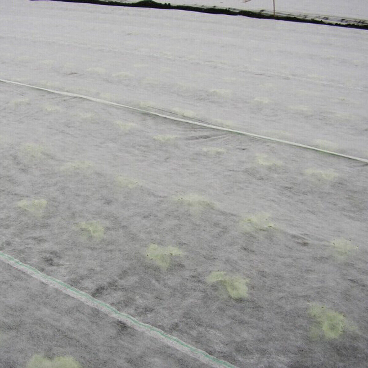 Frost Protection Garden Fleece – Winter Plant & Crop Warming Cover