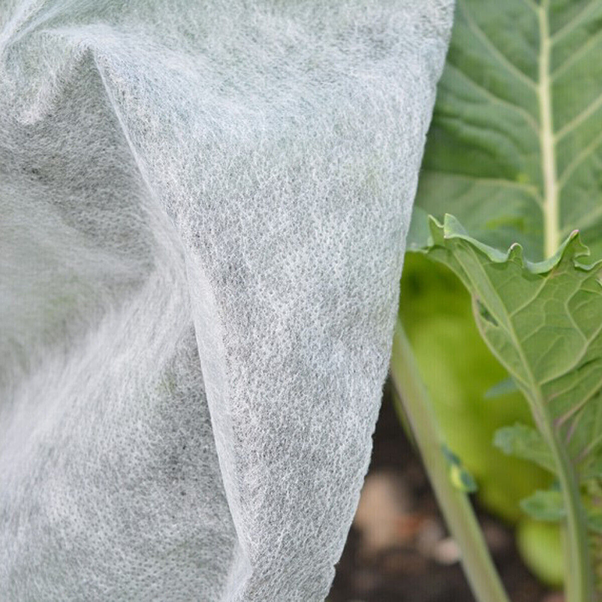 Frost Protection Garden Fleece – Winter Plant & Crop Warming Cover
