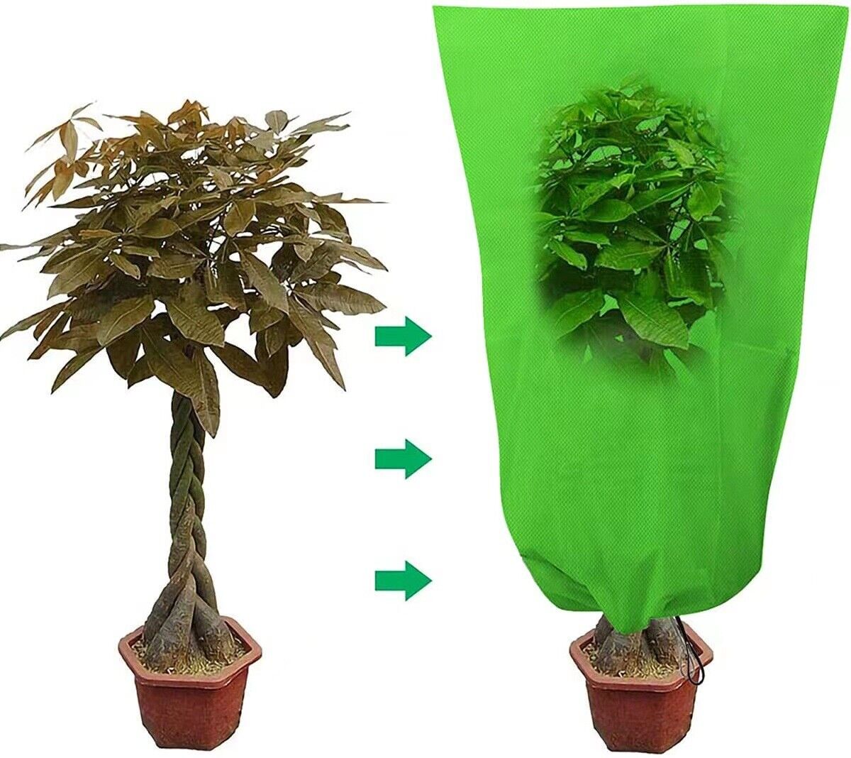Heavy Duty Frost Fleece Plant Protection Jackets – Multiple Sizes & Colors