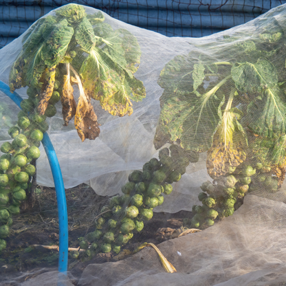 Frost Protection Garden Fleece – Winter Plant & Crop Warming Cover